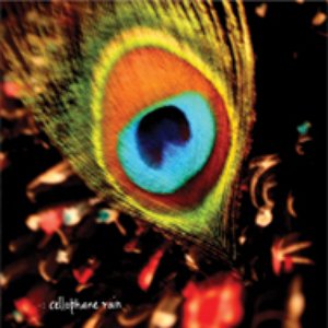 Cellophane Rain 的头像