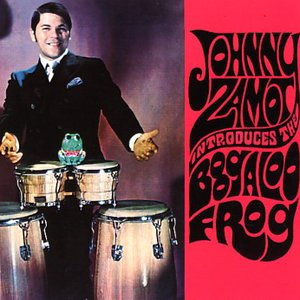 Introduces The Boogaloo Frog