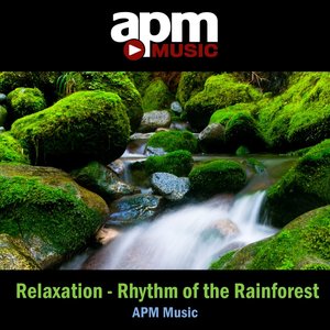 Relaxation - Rhythm of the Rainforest