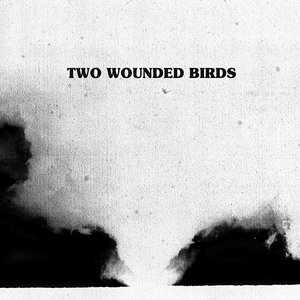 Two Wounded Birds