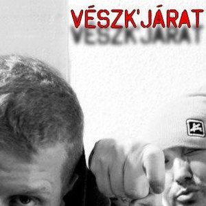 Vészk'járat 的头像