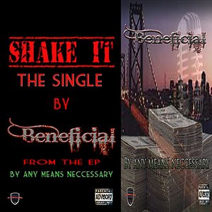 Shake It - Single