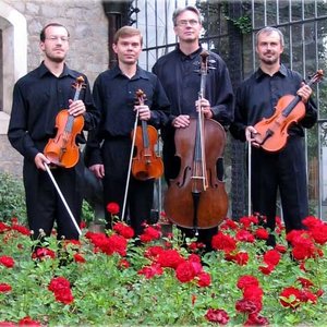 Wallinger Quartet 的头像