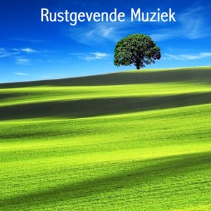 Rustgevende Muziek