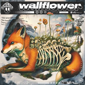 wallflower