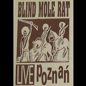 Live Poznań
