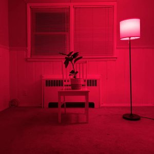 Song About a Plant