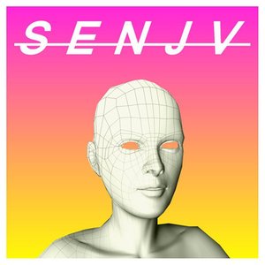 Avatar for s e n j v