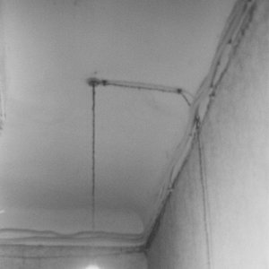 growing woe (demo)