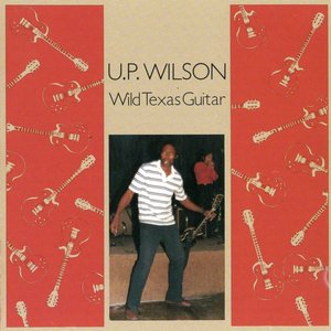 Wild Texas Guitar
