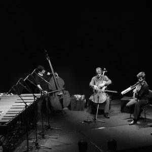 Nuova Camerata 的头像