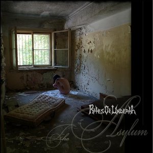 The Asylum