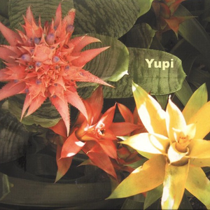 Input cover