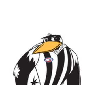 Collingwood Magpies 的头像