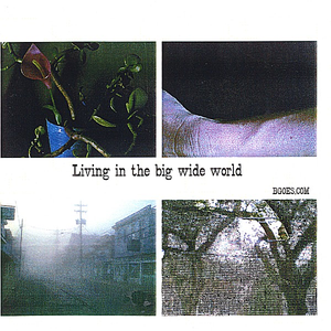 Don Campbell - Living In The Big Wide World - Zortam Music