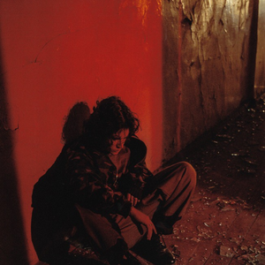 Saluki photo provided by Last.fm