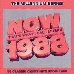 Now That's What I Call Music! 1988: The Millennium Series