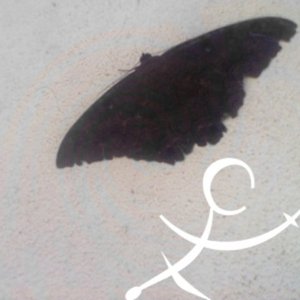 Avatar de Aura en el espejo