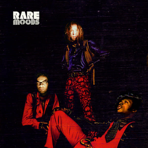 Rare Moods photo provided by Last.fm