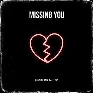 Missing You (feat. ZVC) - Single