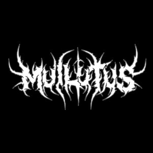 Muilutus 的头像