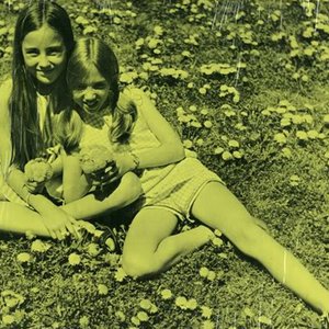 Dandelions 的头像