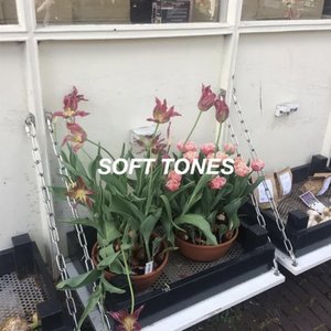 Soft Tones - Single