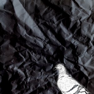 Champion - Single