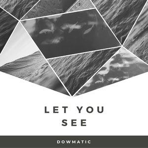 Let You See