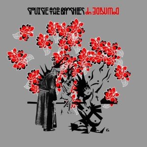 Siouxsie & the Banshees - Black Sun Lyrics - Zortam Music