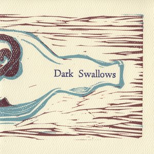 Dark Swallows