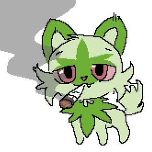 lungs from yesterday