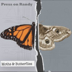 Moths and Butterflies