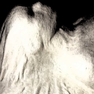 Avatar for Mycelium Shroud