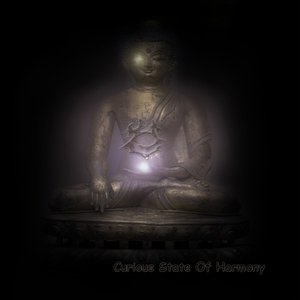 Curious State Of Harmony