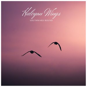 Avatar for Halcyon Wings