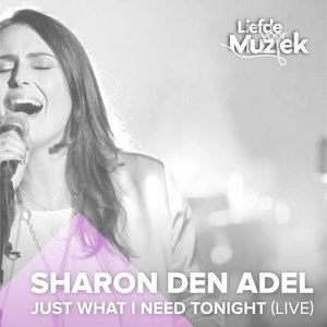 Just What I Need Tonight (Uit Liefde Voor Muziek) (Live)