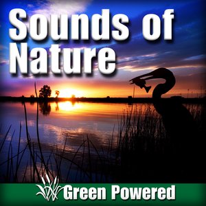 Sounds of Nature