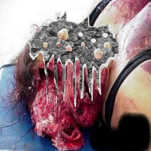 9 Untitled Traxxx