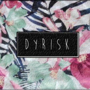 Dyrisk 的头像