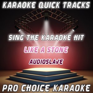 Karaoke Quick Tracks : Like a Stone (Karaoke Version) (Originally Performed By Audioslave)