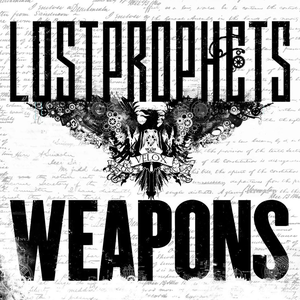 Weapons cover