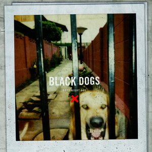 Black Dogs