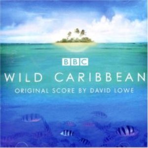 “Wild Caribbean - Original Music By David Lowe”的封面