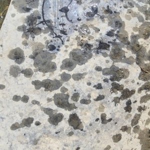 Winooski River Fragments