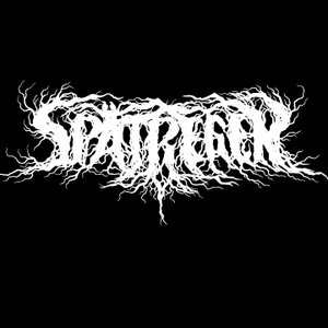 Spätregen 的头像