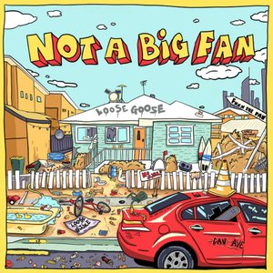 Not a Big Fan