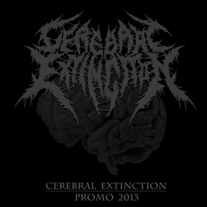 Promo 2013 cover