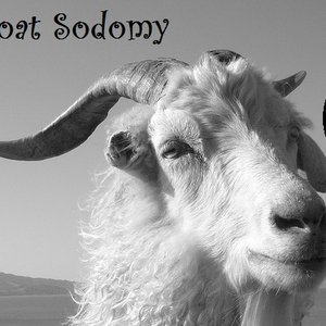 Goat Sodomy 的头像
