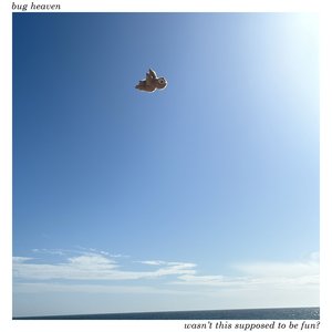 Wasn't This Supposed To Be Fun?